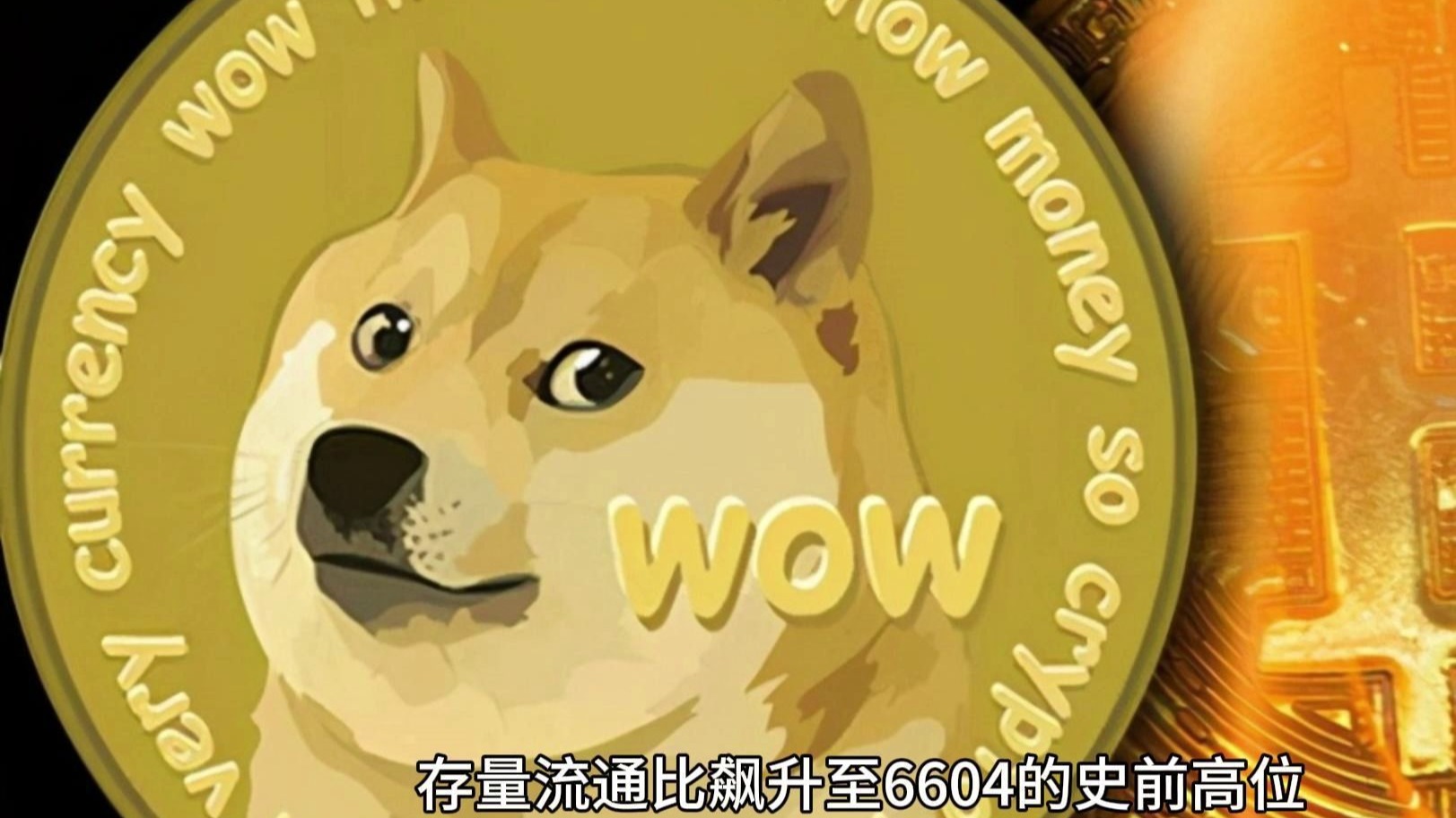 监管风暴来袭，狗狗币平台被临时暂停！的简单介绍